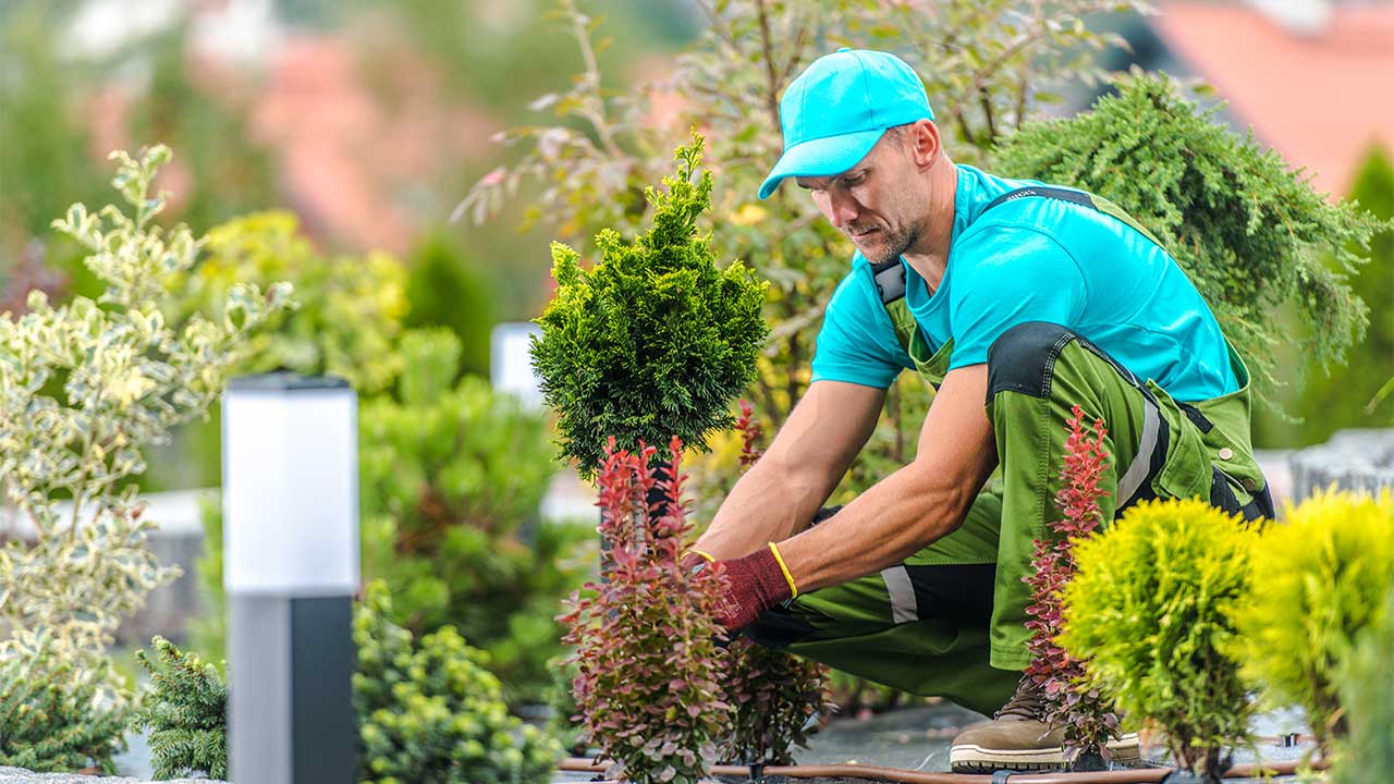 Gardener work in garden