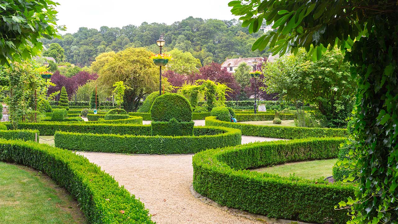 Garden