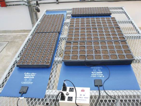 Propagation Mat 12" x 60"