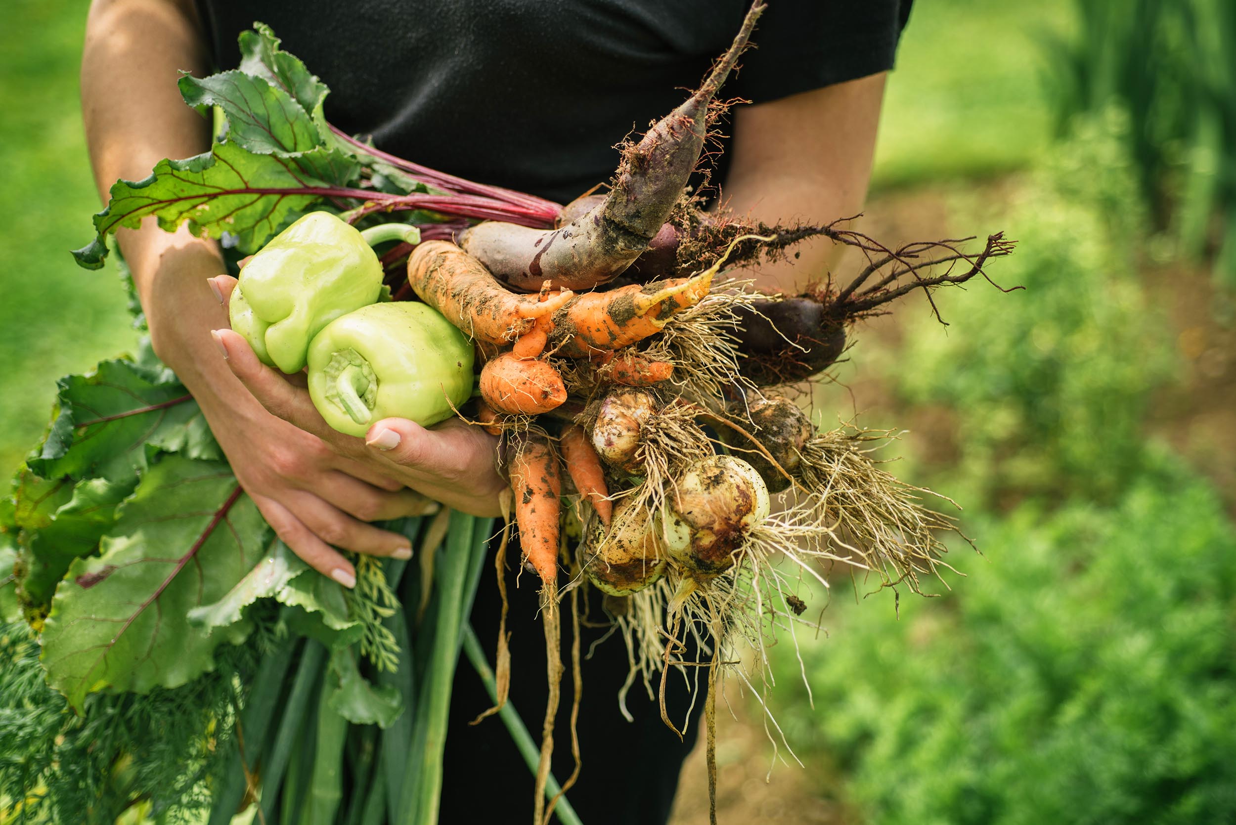 Vegetables